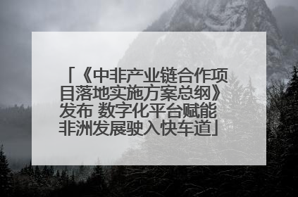 《中非产业链合作项目落地实施方案总纲》发布 数字化平台赋能非洲发展驶入快车道