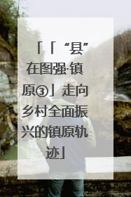 「“县”在图强·镇原③」走向乡村全面振兴的镇原轨迹