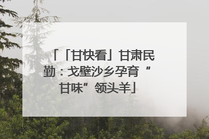 「甘快看」甘肃民勤：戈壁沙乡孕育“甘味”领头羊