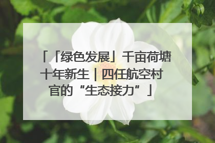 「绿色发展」千亩荷塘 十年新生｜四任航空村官的“生态接力”