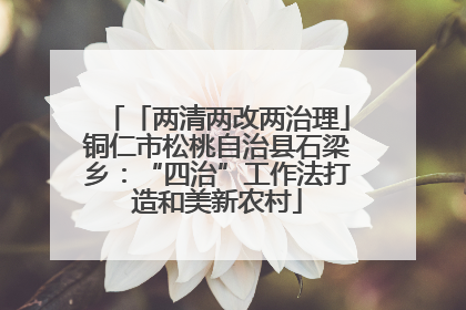 「两清两改两治理」铜仁市松桃自治县石梁乡：“四治”工作法打造和美新农村