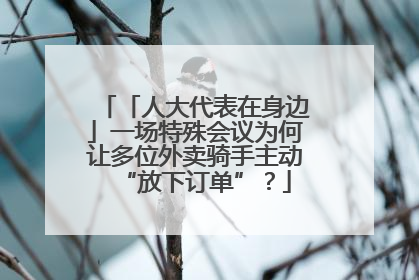 「人大代表在身边」一场特殊会议为何让多位外卖骑手主动“放下订单”？