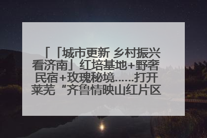 「城市更新 乡村振兴看济南」红培基地+野奢民宿+玫瑰秘境……打开莱芜“齐鲁情映山红片区”的破圈秘籍