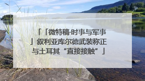 「微特稿·时事与军事」叙利亚库尔德武装称正与土耳其“直接接触”