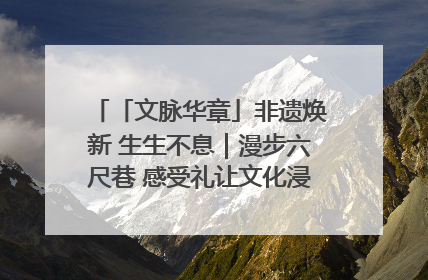 「文脉华章」非遗焕新 生生不息｜漫步六尺巷 感受礼让文化浸润的“巷”往生活
