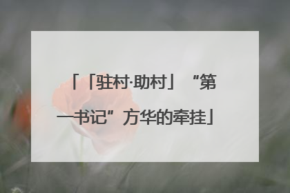 「驻村·助村」“第一书记”方华的牵挂