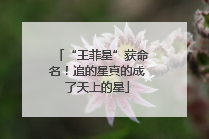 “王菲星”获命名！追的星真的成了天上的星