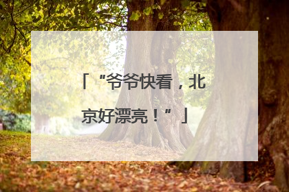 “爷爷快看，北京好漂亮！”