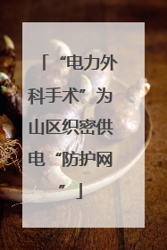 “电力外科手术”为山区织密供电“防护网”