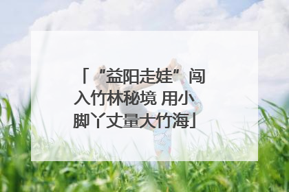 “益阳走娃”闯入竹林秘境 用小脚丫丈量大竹海