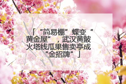 “简易棚”蝶变“黄金屋”，武汉黄陂火塔线瓜果售卖亭成“金招牌”