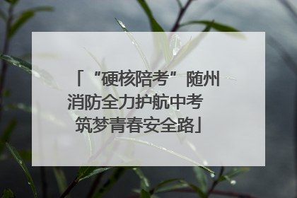 “硬核陪考”随州消防全力护航中考 筑梦青春安全路