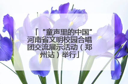 “童声里的中国”河南省文明校园合唱团交流展示活动(郑州站)举行