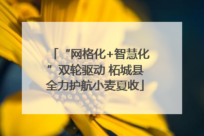 “网格化+智慧化”双轮驱动 柘城县全力护航小麦夏收