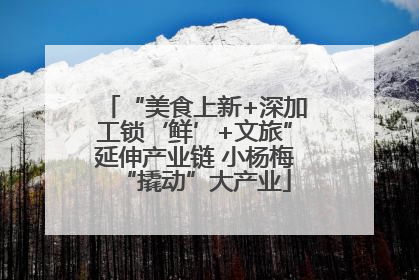 “美食上新+深加工锁‘鲜’+文旅”延伸产业链 小杨梅“撬动”大产业