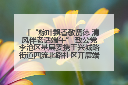 “粽叶飘香敬贤德 清风伴老话端午” 致公党李沧区基层委携手兴城路街道四流北路社区开展端午节主题活动