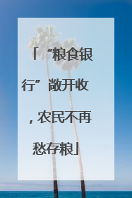 “粮食银行”敞开收，农民不再愁存粮