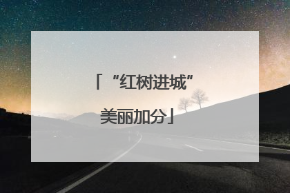 “红树进城” 美丽加分