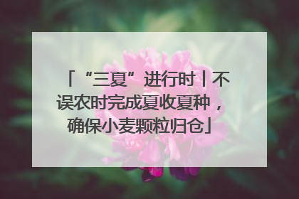 “三夏”进行时丨不误农时完成夏收夏种，确保小麦颗粒归仓