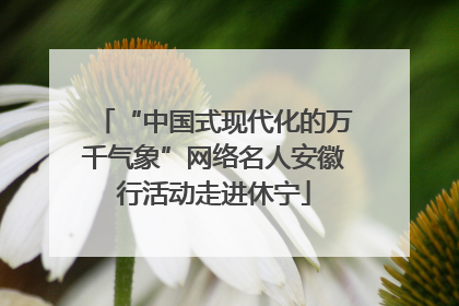“中国式现代化的万千气象”网络名人安徽行活动走进休宁