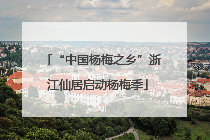“中国杨梅之乡”浙江仙居启动杨梅季