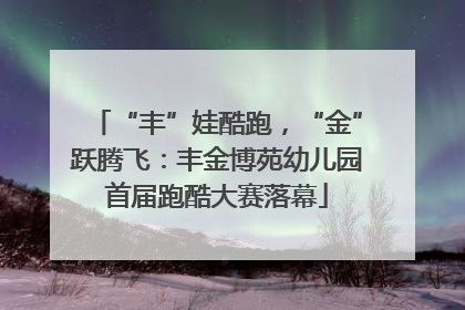 “丰”娃酷跑，“金”跃腾飞：丰金博苑幼儿园首届跑酷大赛落幕