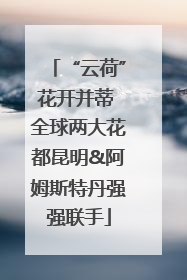 “云荷”花开并蒂 全球两大花都昆明&阿姆斯特丹强强联手