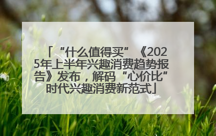 “什么值得买”《2025年上半年兴趣消费趋势报告》发布，解码“心价比”时代兴趣消费新范式