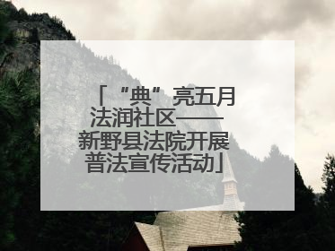 “典”亮五月 法润社区——新野县法院开展普法宣传活动