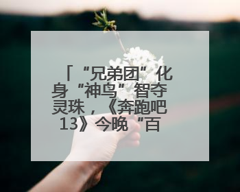“兄弟团”化身“神鸟”智夺灵珠，《奔跑吧13》今晚“百谷之王”花落谁家？
