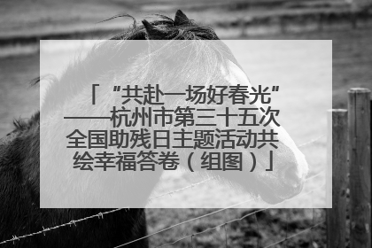 “共赴一场好春光”——杭州市第三十五次全国助残日主题活动共绘幸福答卷（组图）