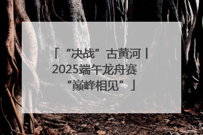 “决战”古黄河丨2025端午龙舟赛“巅峰相见”