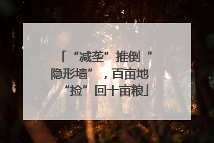“减垄”推倒“隐形墙”，百亩地“捡”回十亩粮