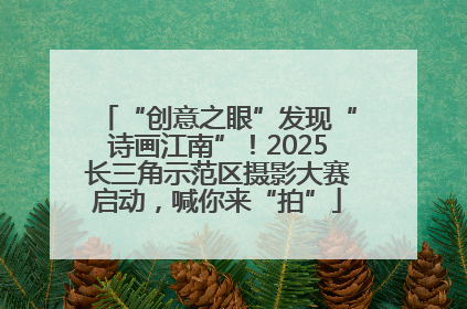 “创意之眼”发现“诗画江南”！2025长三角示范区摄影大赛启动，喊你来“拍”