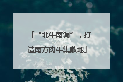 “北牛南调”，打造南方肉牛集散地