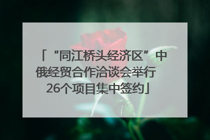 “同江桥头经济区”中俄经贸合作洽谈会举行 26个项目集中签约