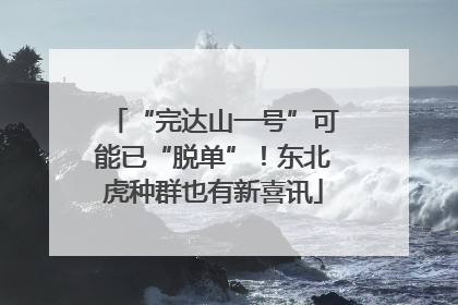 “完达山一号”可能已“脱单”！东北虎种群也有新喜讯