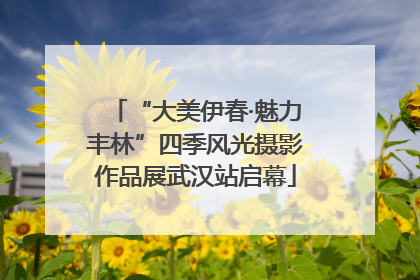 “大美伊春·魅力丰林”四季风光摄影作品展武汉站启幕