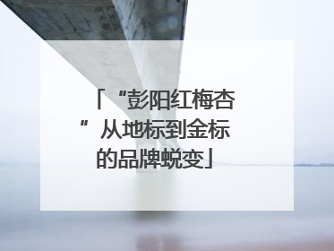 “彭阳红梅杏”从地标到金标的品牌蜕变