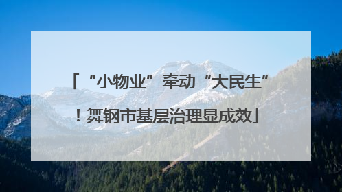 “小物业”牵动“大民生”！舞钢市基层治理显成效