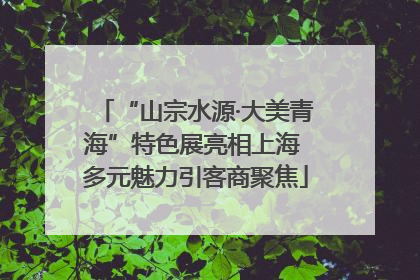 “山宗水源·大美青海”特色展亮相上海 多元魅力引客商聚焦