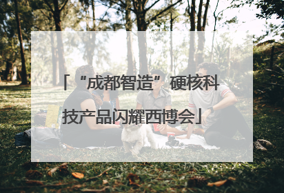 “成都智造”硬核科技产品闪耀西博会