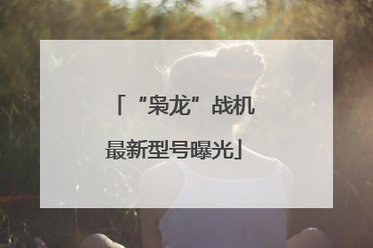 “枭龙”战机最新型号曝光