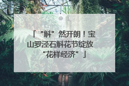 “斛”然开朗！宝山罗泾石斛花节绽放“花样经济”