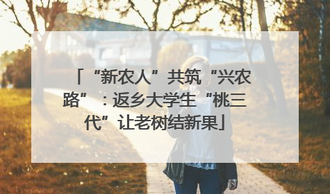 “新农人”共筑“兴农路”：返乡大学生“桃三代”让老树结新果