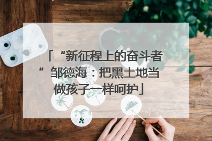 “新征程上的奋斗者”邹德海：把黑土地当做孩子一样呵护