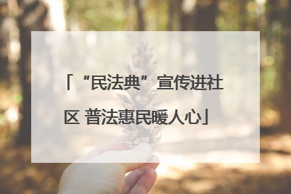“民法典”宣传进社区 普法惠民暖人心