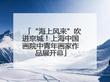 “海上风来”吹进京城！上海中国画院中青年画家作品展开幕