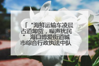 “海鲜运输车凌晨占道卸货，噪声扰民” 海口博爱街道城市综合行政执法中队：将联合交警加强长堤路一带巡逻