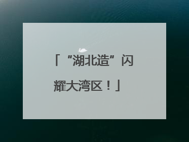 “湖北造”闪耀大湾区！